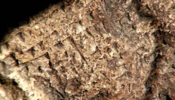 A stone with cuneiform inscriptions dating back to 7th century BC