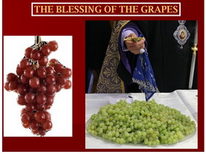 grapes-blessing