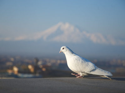 Tour to Armenia 4 days