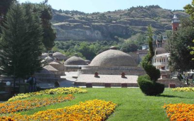 Tour to Georgia