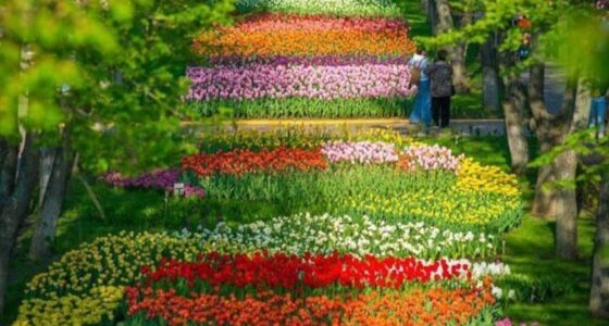 экскурсионные туры в Армению 11 дней
