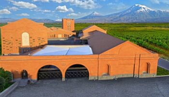 Винный завод «Армения Вайн»