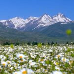 гора Арагац