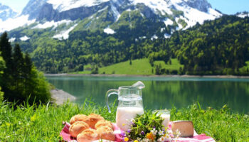 Пикник на природе