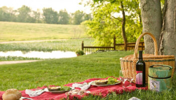 Пикник на природе