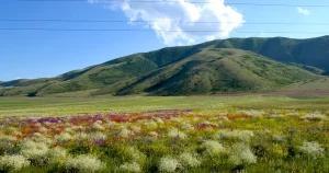 Гора Артаниш