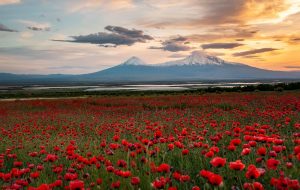 Mount Ararat