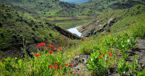 Mount Aragats