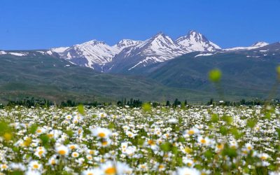 Mount Aragats